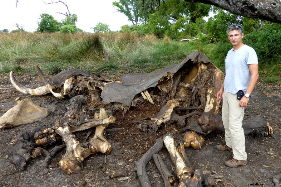 Meet James Sturz: Esteemed Travel Writer from New York