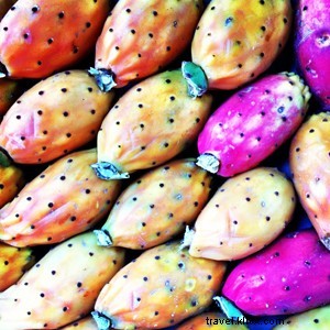 Introducing Jason Gibb: Founder of Nudo Olive Oil