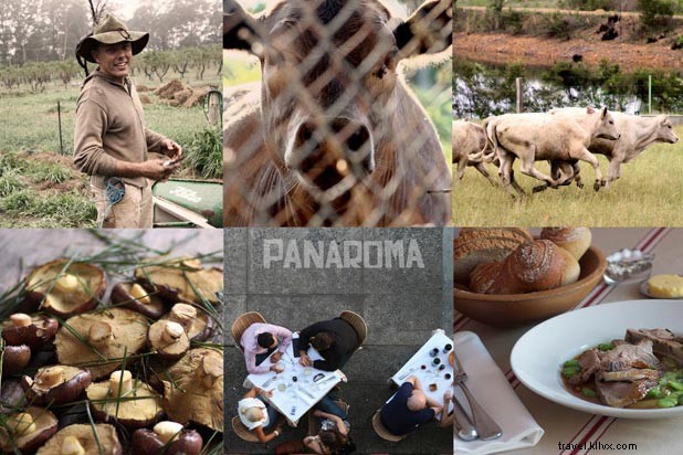 Sean s Panorama: Farm-to-Table Dining Gem in Bondi Beach