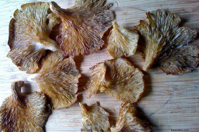 Vegetarian Foraging Adventures: Hunting Wild Foods in Berkeley s California Woods