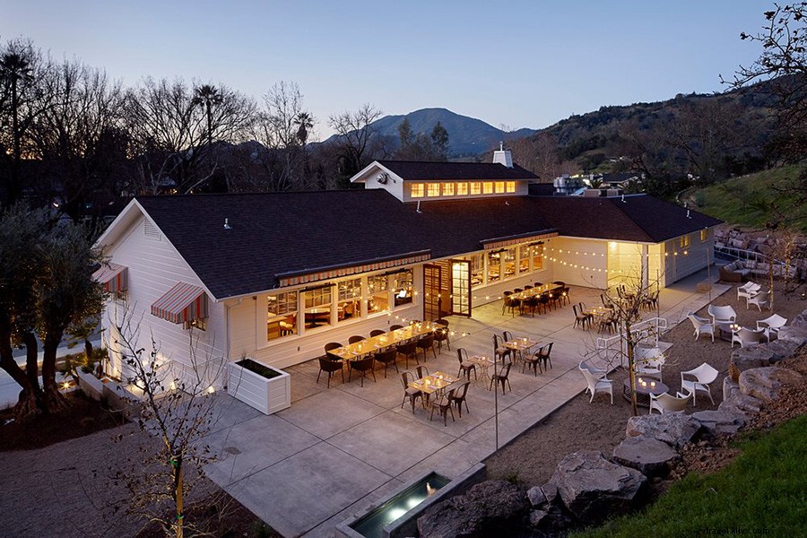 Hangover Survival Guide: How to Thrive in Napa Valley After Wine Tasting