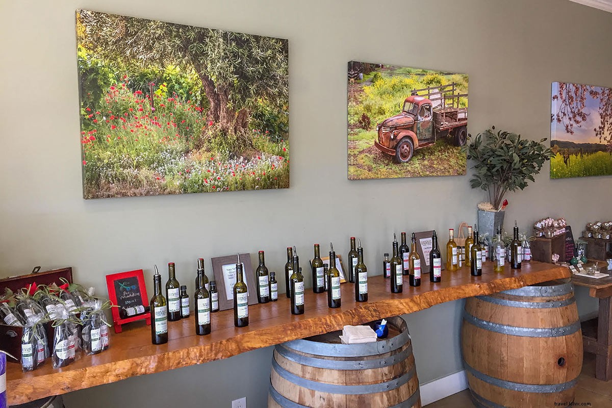 Hangover Survival Guide: How to Thrive in Napa Valley After Wine Tasting