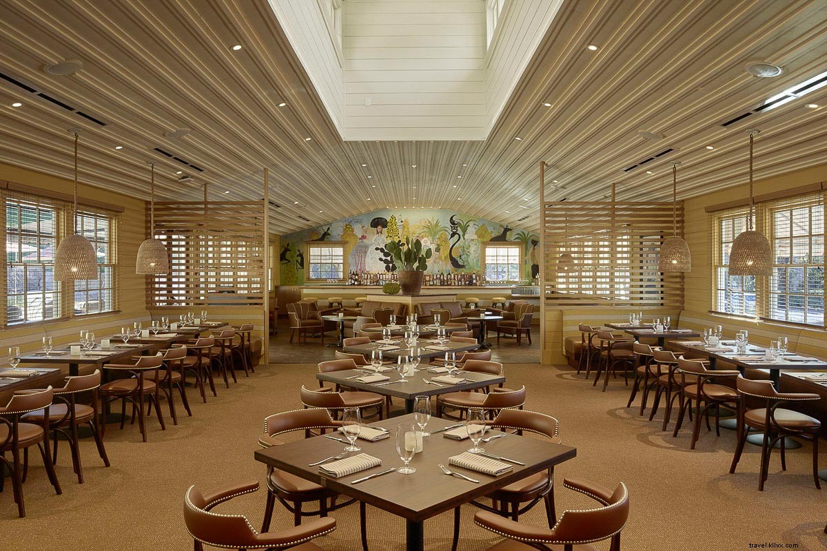 Hangover Survival Guide: How to Thrive in Napa Valley After Wine Tasting