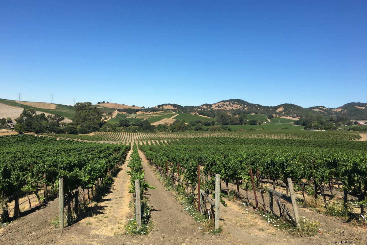 Vineyard Romance: A Couple s Pre-Honeymoon Road Trip Through Napa and Sonoma