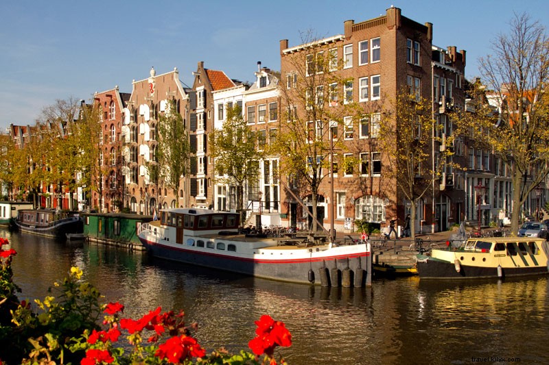 Eat Like a Local in Amsterdam: Authentic Food Guide from Eat Your World