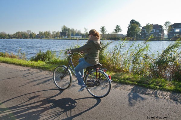 Eat Like a Local in Amsterdam: Authentic Food Guide from Eat Your World