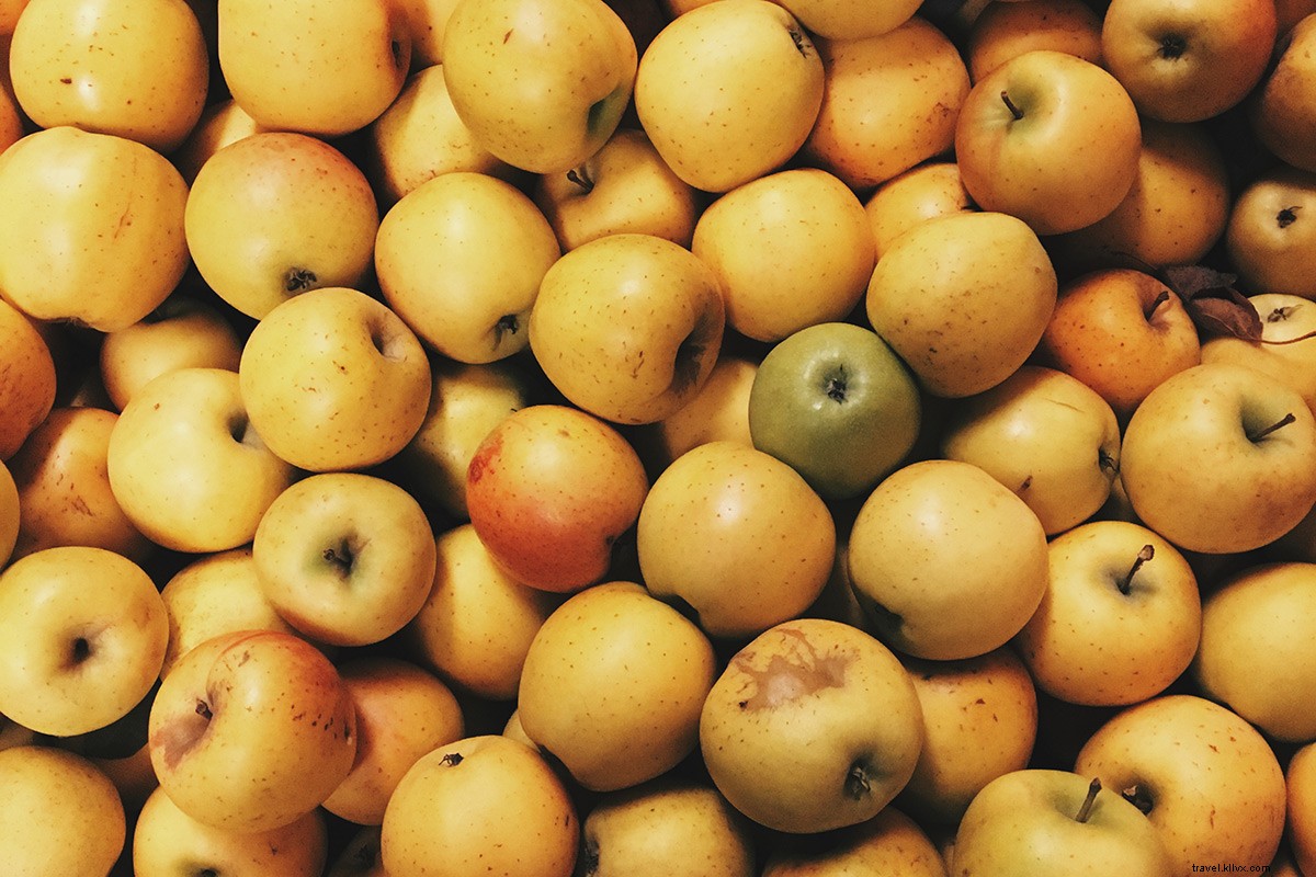 New York s Hard Cider Revolution: Exploring Hudson Valley & Finger Lakes