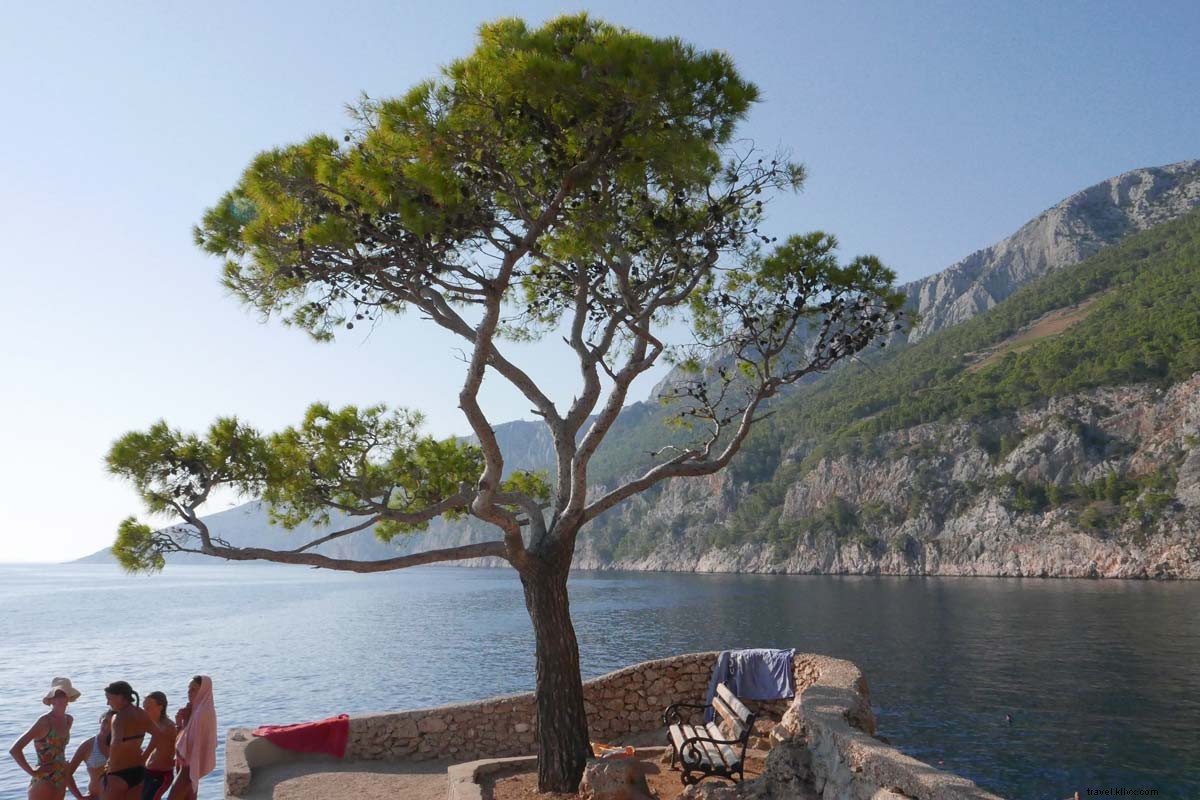 Discovering Dalmatia s Vineyards: A Journey Through Croatia s Coastal Wine Heritage