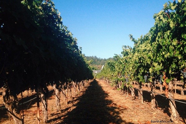 A Day of Viticulture, Swimming & Feasts at Francis Ford Coppola s Sonoma Winery