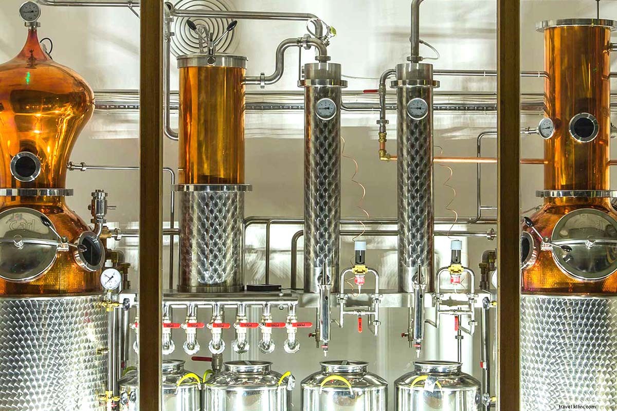 Discover London s Gin Heritage: An Expert-Led Tour and Tasting Adventure