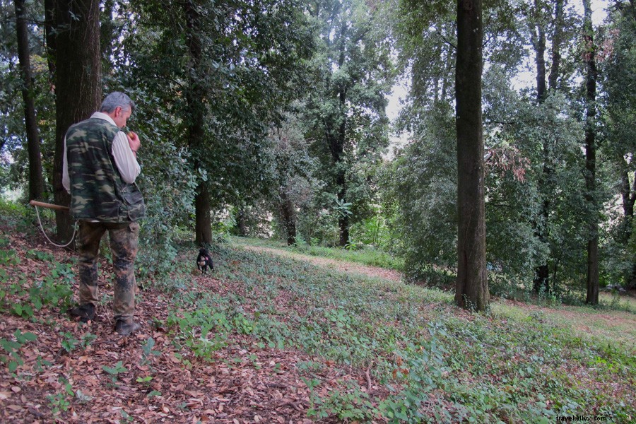 Ultimate Day Trip from Florence: Truffle Hunting in San Miniato & Bellinis at Belmond Villa San Michele