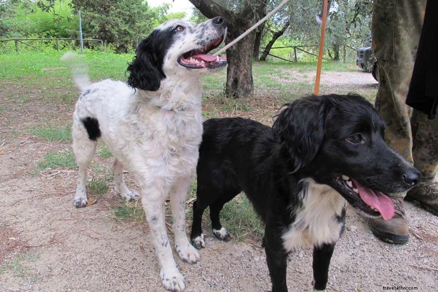 Ultimate Day Trip from Florence: Truffle Hunting in San Miniato & Bellinis at Belmond Villa San Michele