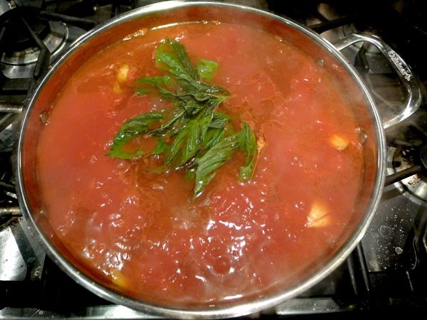 Master Homemade Marinara Sauce: Authentic Italian Flavor from Your Kitchen