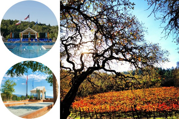 Ultimate Wine Tour Guide: Discover Napa and Sonoma Valleys