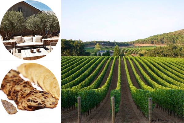 Ultimate Wine Tour Guide: Discover Napa and Sonoma Valleys