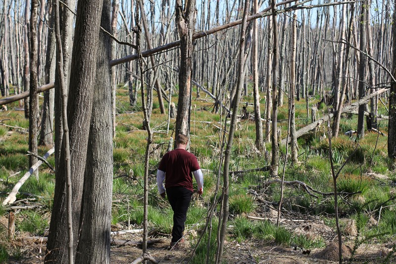 Bedford Post Inn: Celebrity Chef Elevates Suburban Dining in Westchester