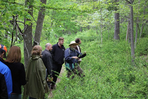 Bedford Post Inn: Celebrity Chef Elevates Suburban Dining in Westchester