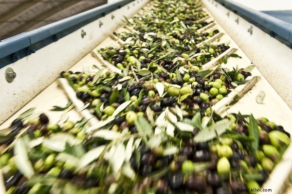 Italy s Culinary Romance: Chocolate Meets Premium Olive Oil