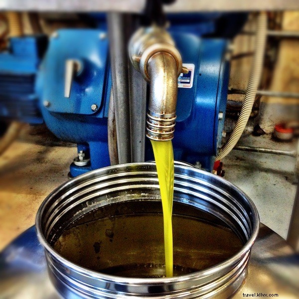 Italy s Culinary Romance: Chocolate Meets Premium Olive Oil