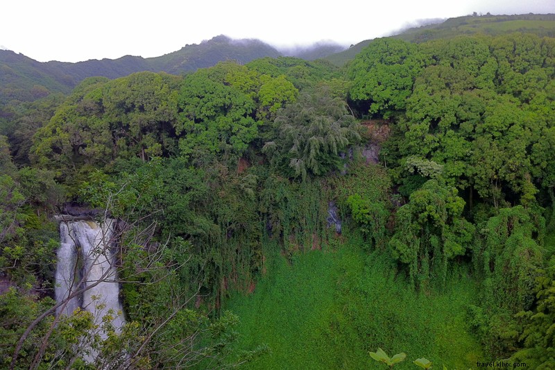 Maui s Best Street Food: Iconic Eats Along the Road to Hana