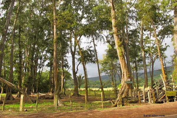 Maui s Best Street Food: Iconic Eats Along the Road to Hana