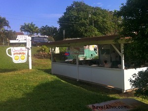 Maui s Best Street Food: Iconic Eats Along the Road to Hana