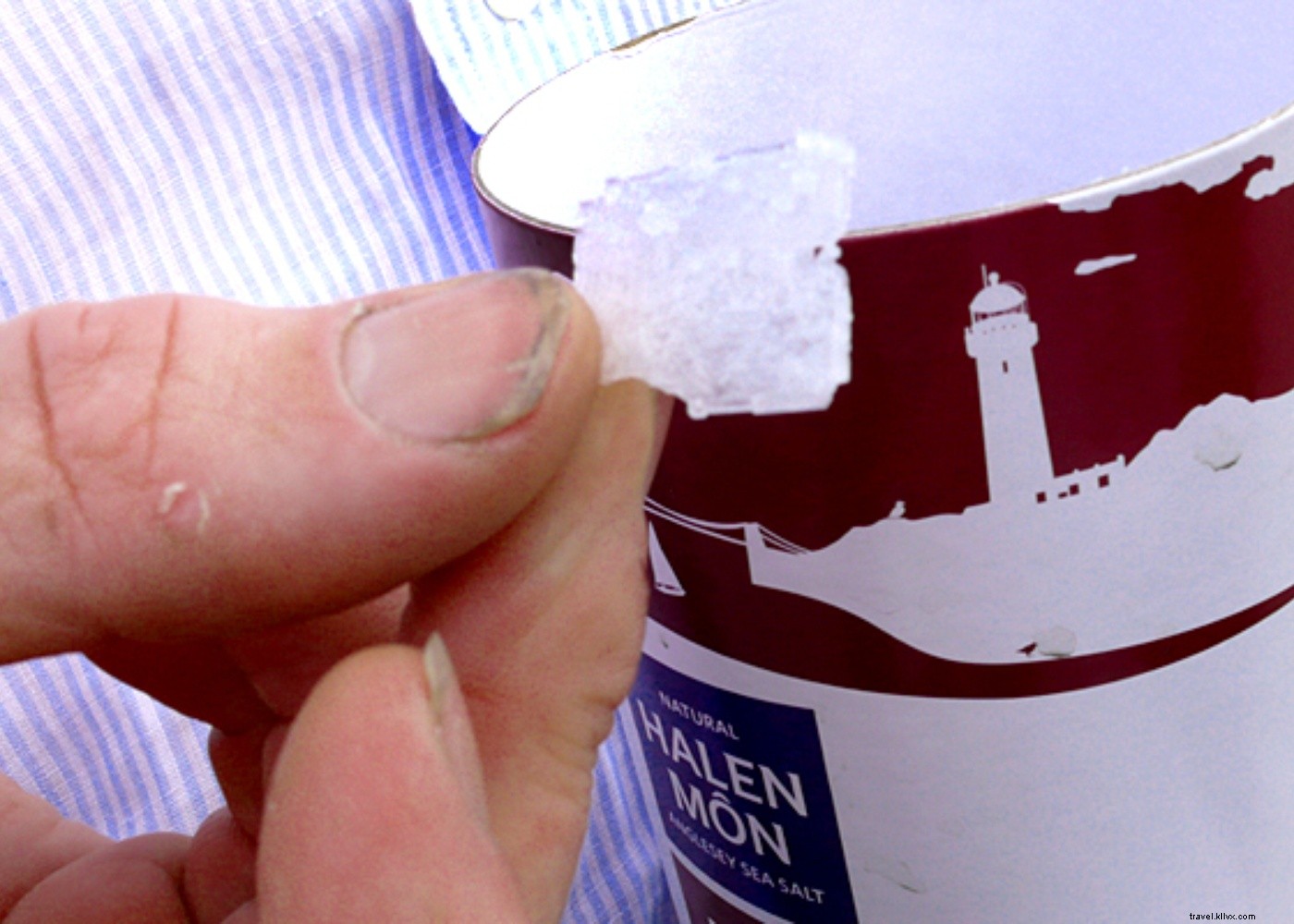 Discover Wales  Culinary Gems: Farming, Foraging, and Feasting Adventures