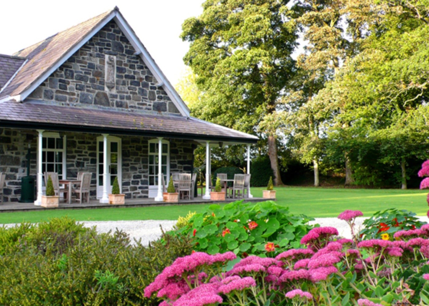 Discover Wales  Culinary Gems: Farming, Foraging, and Feasting Adventures