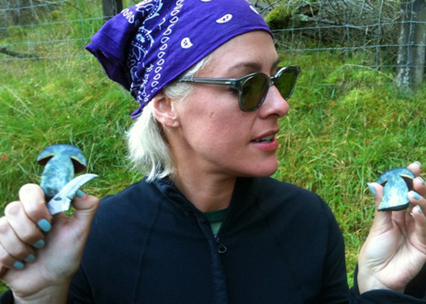 Discover Wales  Culinary Gems: Farming, Foraging, and Feasting Adventures