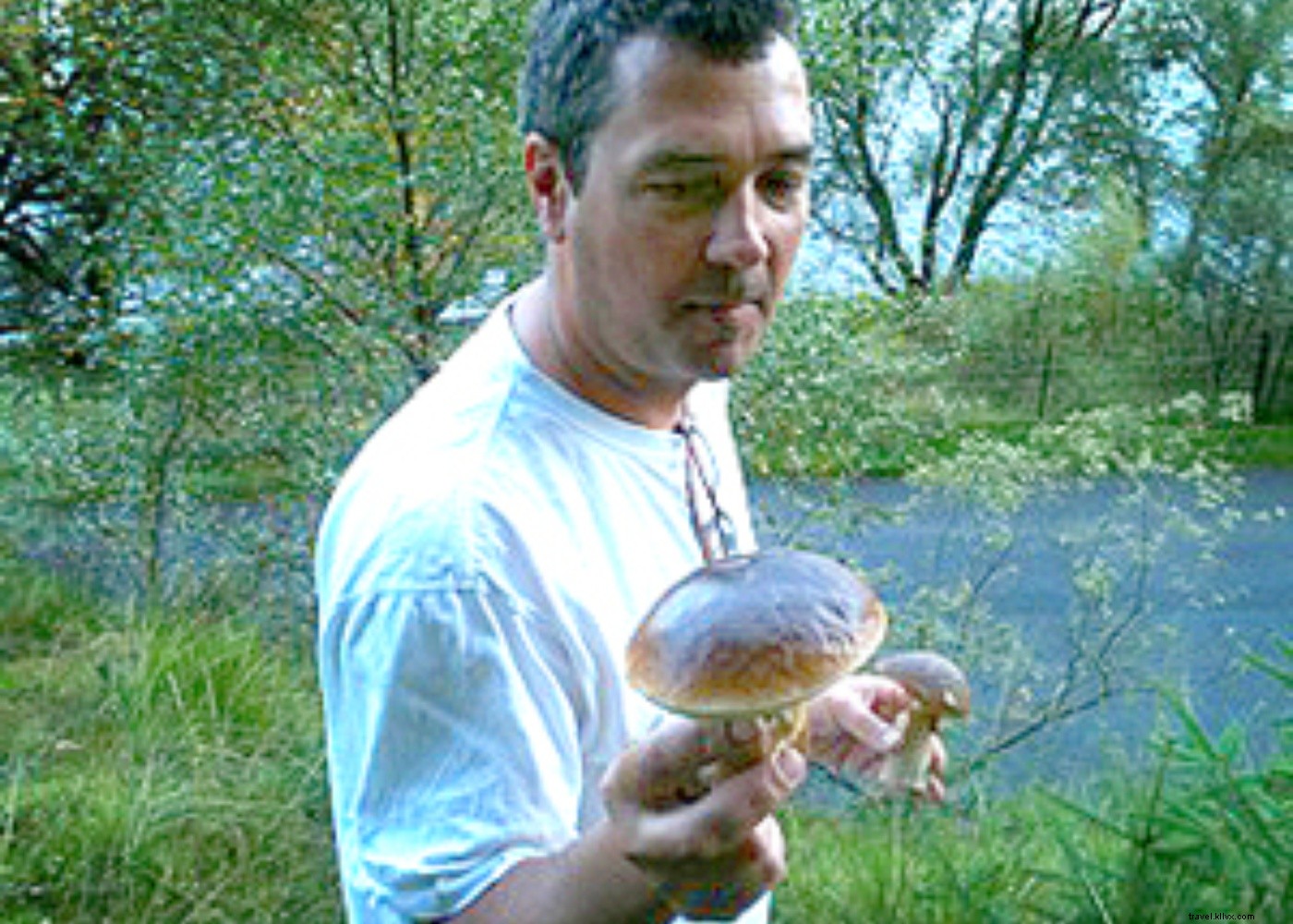 Discover Wales  Culinary Gems: Farming, Foraging, and Feasting Adventures