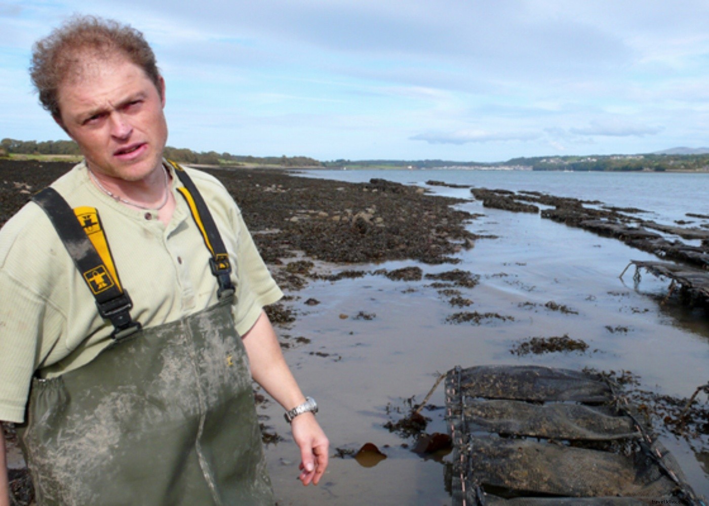 Discover Wales  Culinary Gems: Farming, Foraging, and Feasting Adventures