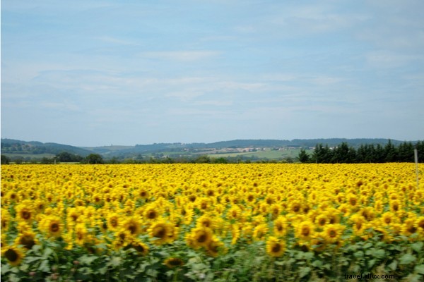 Savor Saverdun: An Authentic Village Feast in Southwest France