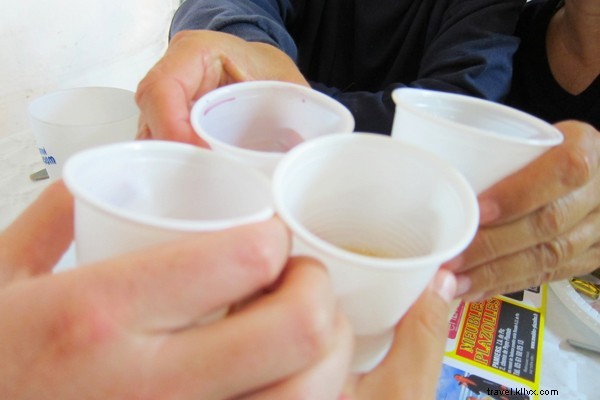 Savor Saverdun: An Authentic Village Feast in Southwest France