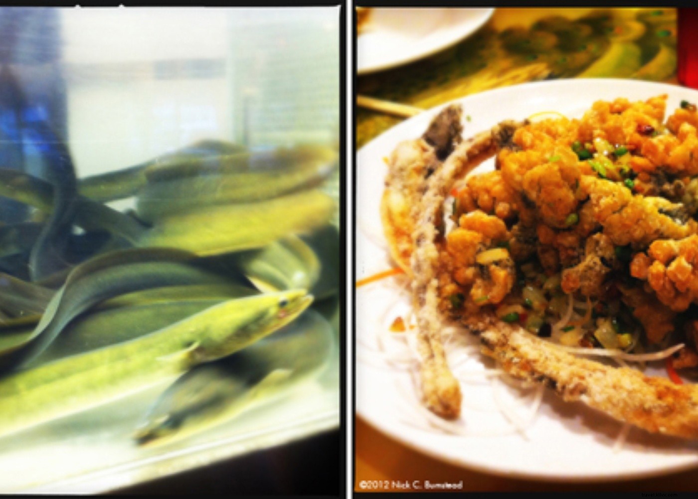 Florida Coastal Escape: Tampa Bay to New Smyrna Beach Food & Travel Highlights