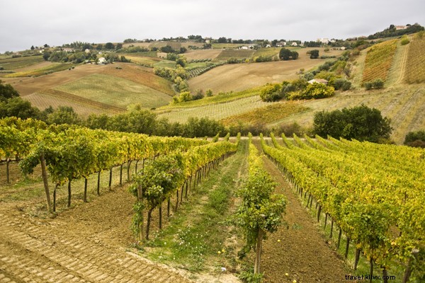 Heavenly Locavore Lunch at Agriturismo Fiorano in Le Marche, Italy