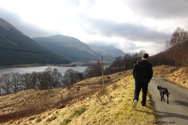 Savor Scotland s Culinary Gems: Oysters, Dairy, Whisky & Island Delights