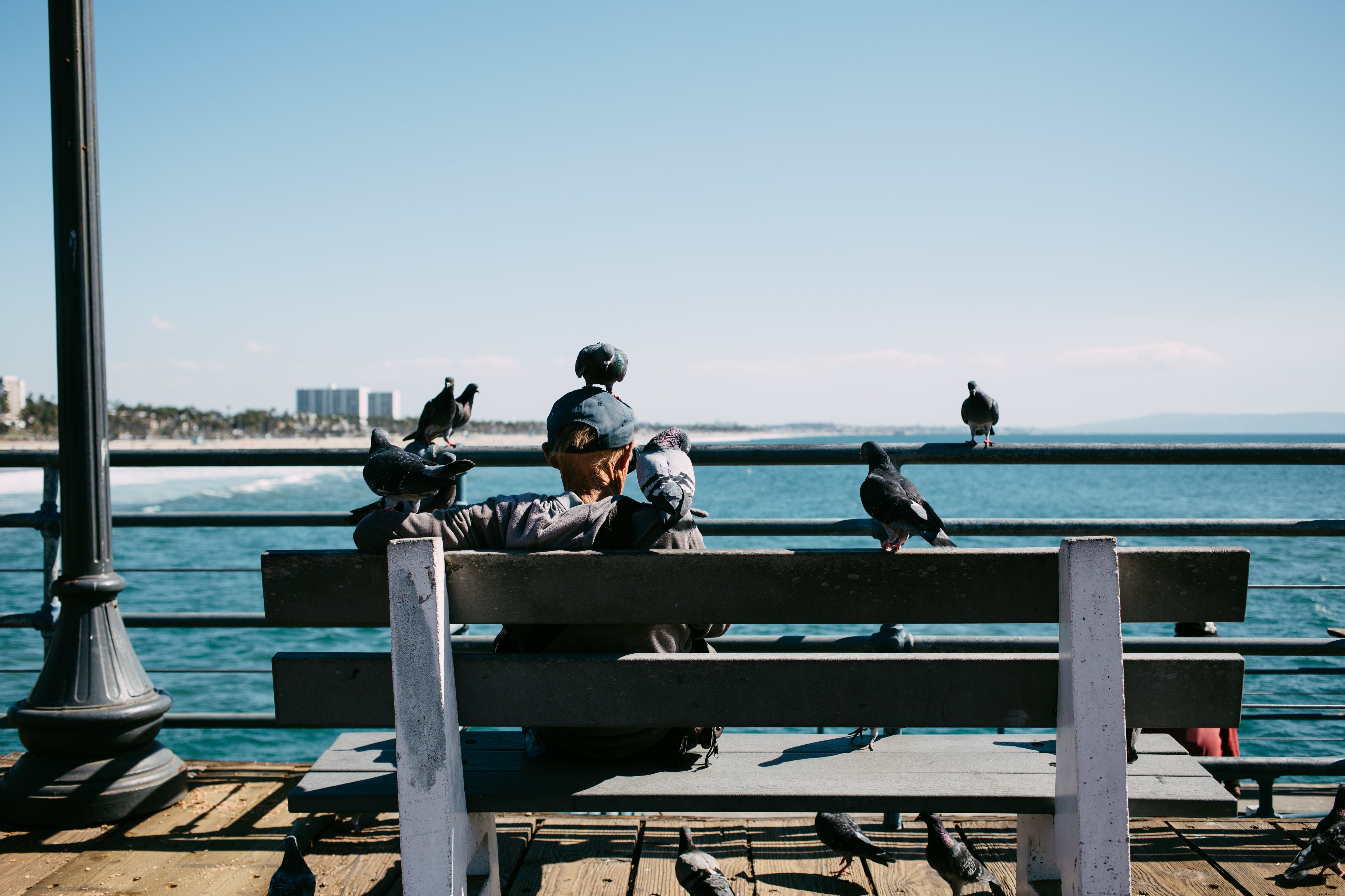Heartwarming Photo: Elderly Man Bonds with New Friends