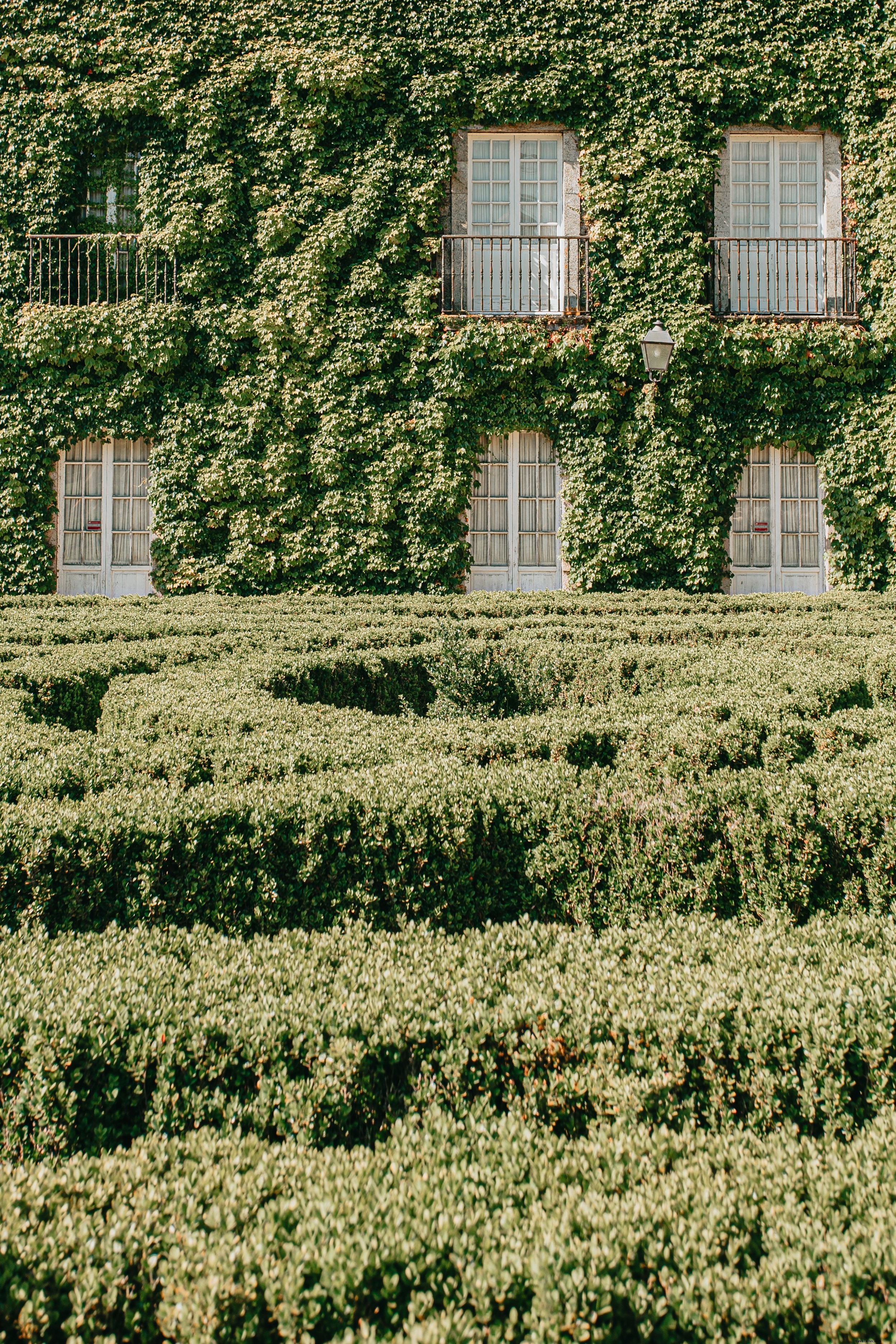 Stunning Photo: Modern Building Blanketed in Lush Green Foliage