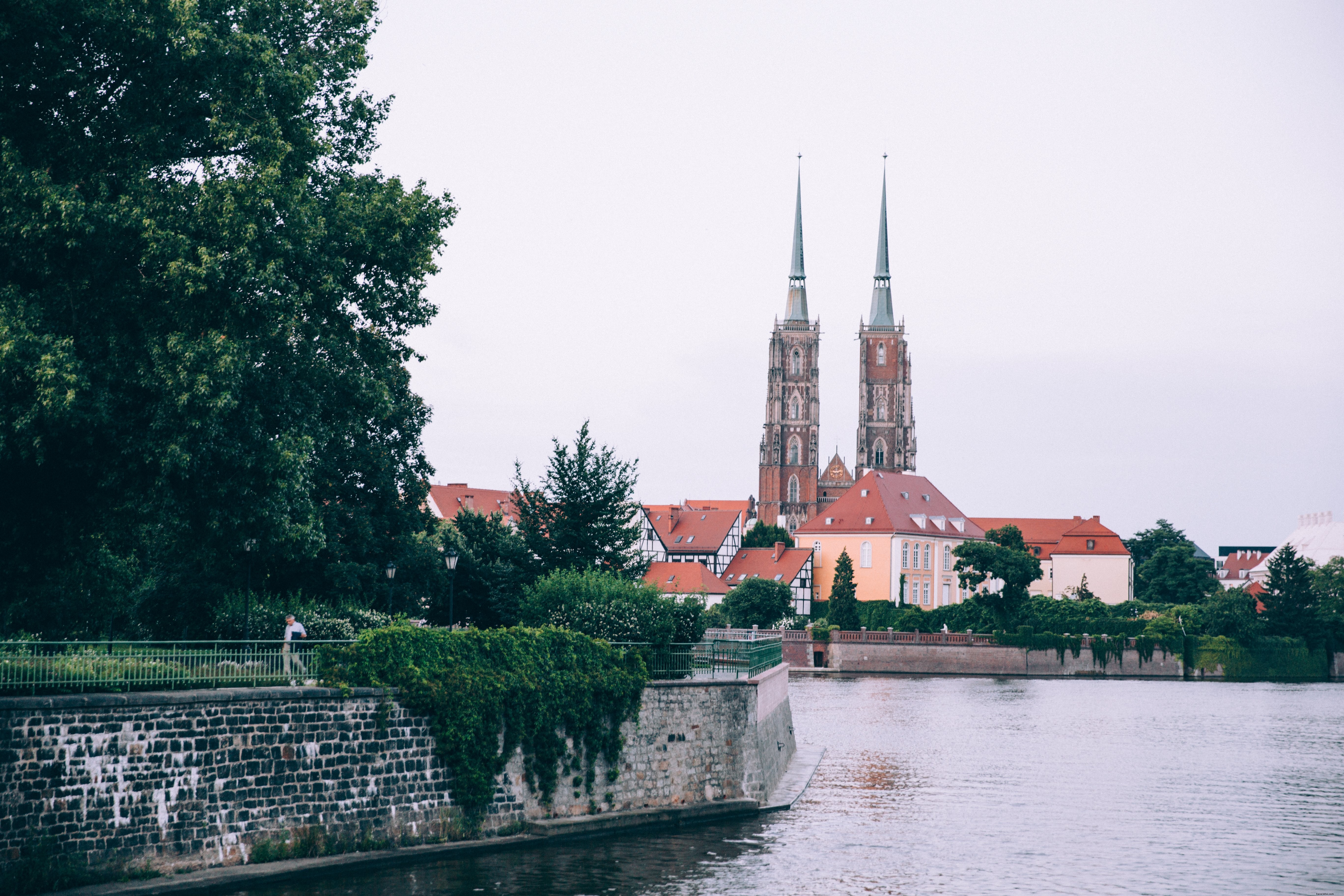 Stunning Photo: Tree-Lined River Banks Unveiling City Spires and Rooftops