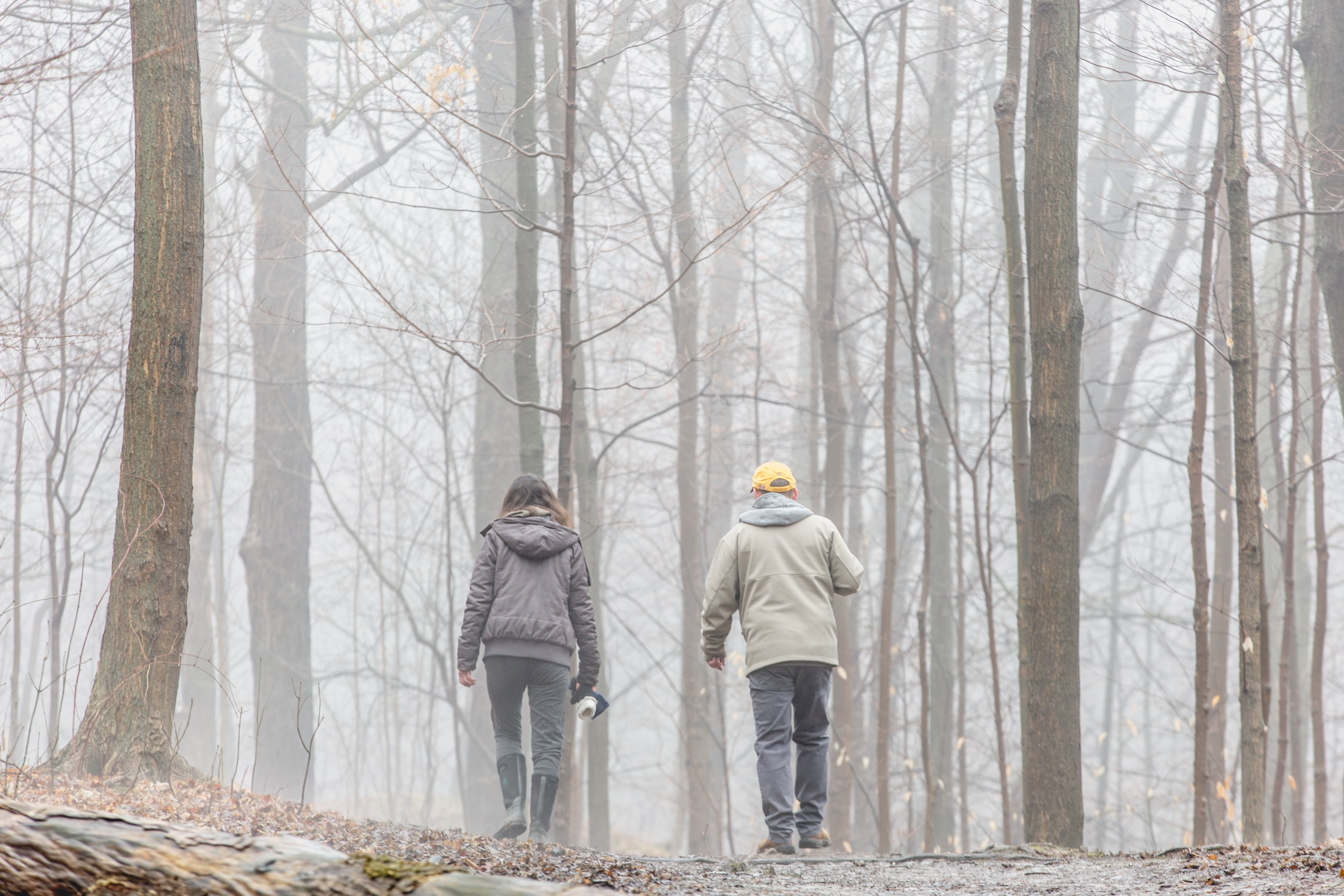 Captivating Photo: Elderly Couple Strolls into Misty Fog-Filled Forest