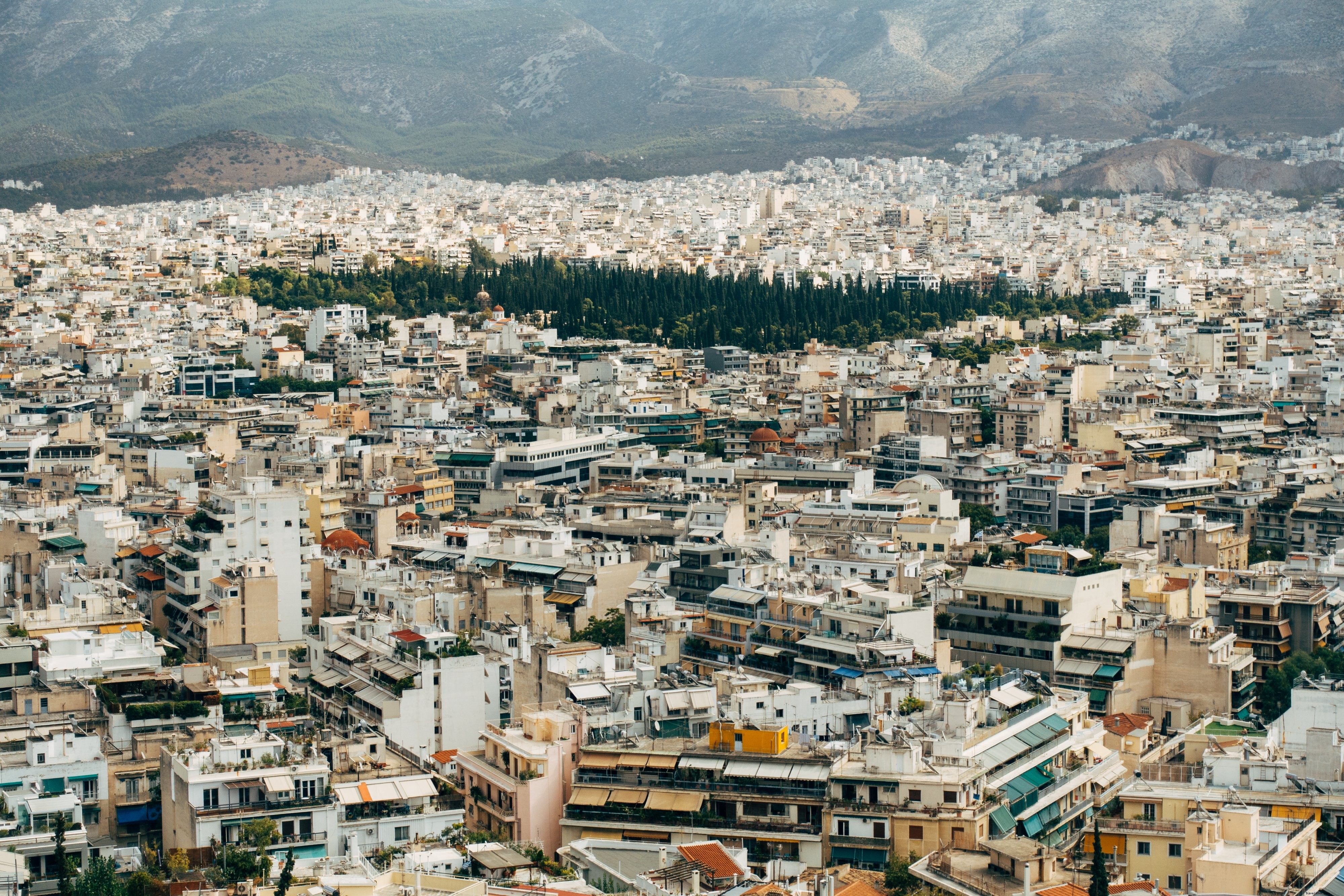 Urban Oasis: Pocket Forest Thriving in a Bustling Cityscape