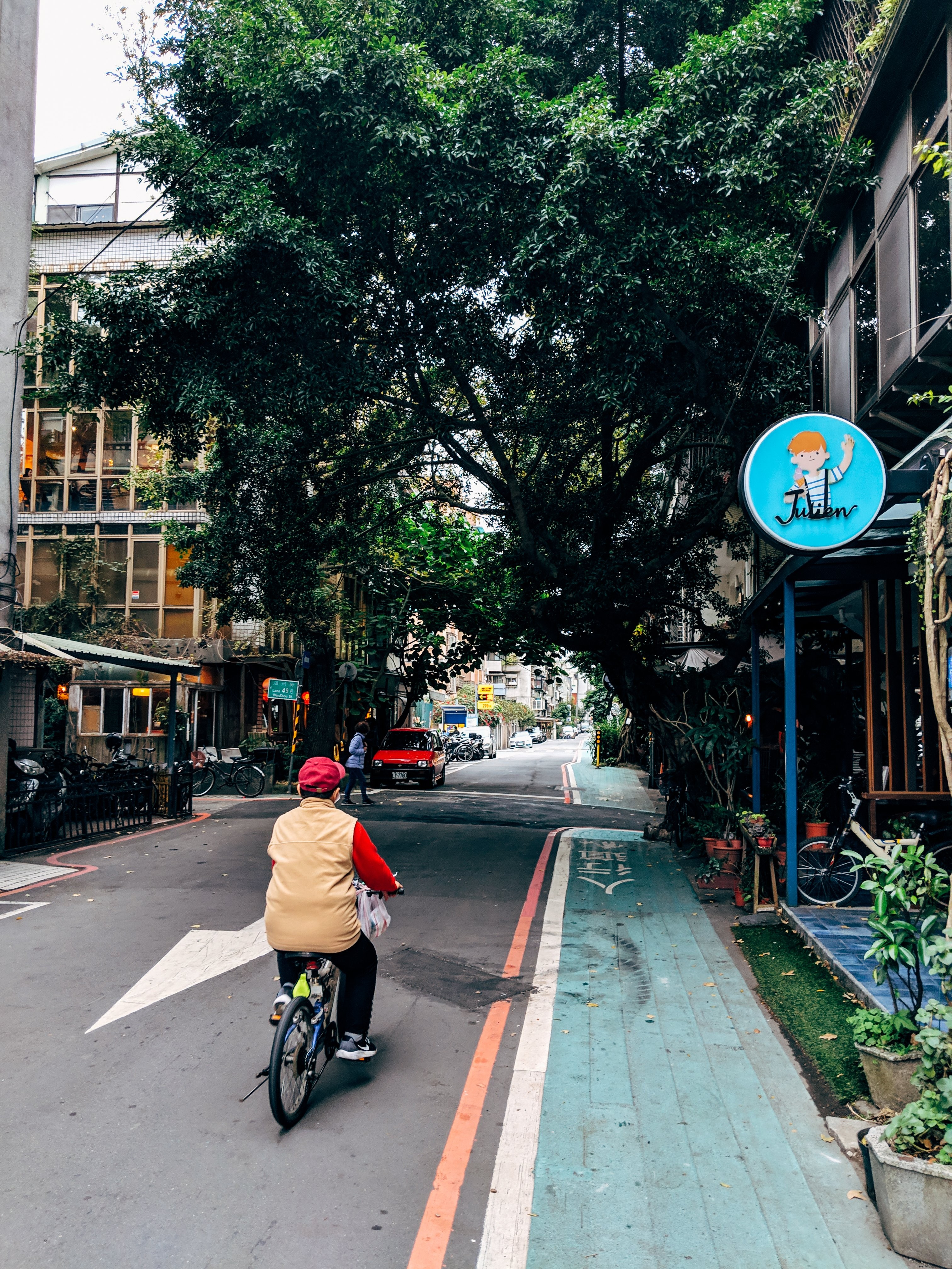 Captivating Urban Scene: Man, Tree, and City Skyline Photo