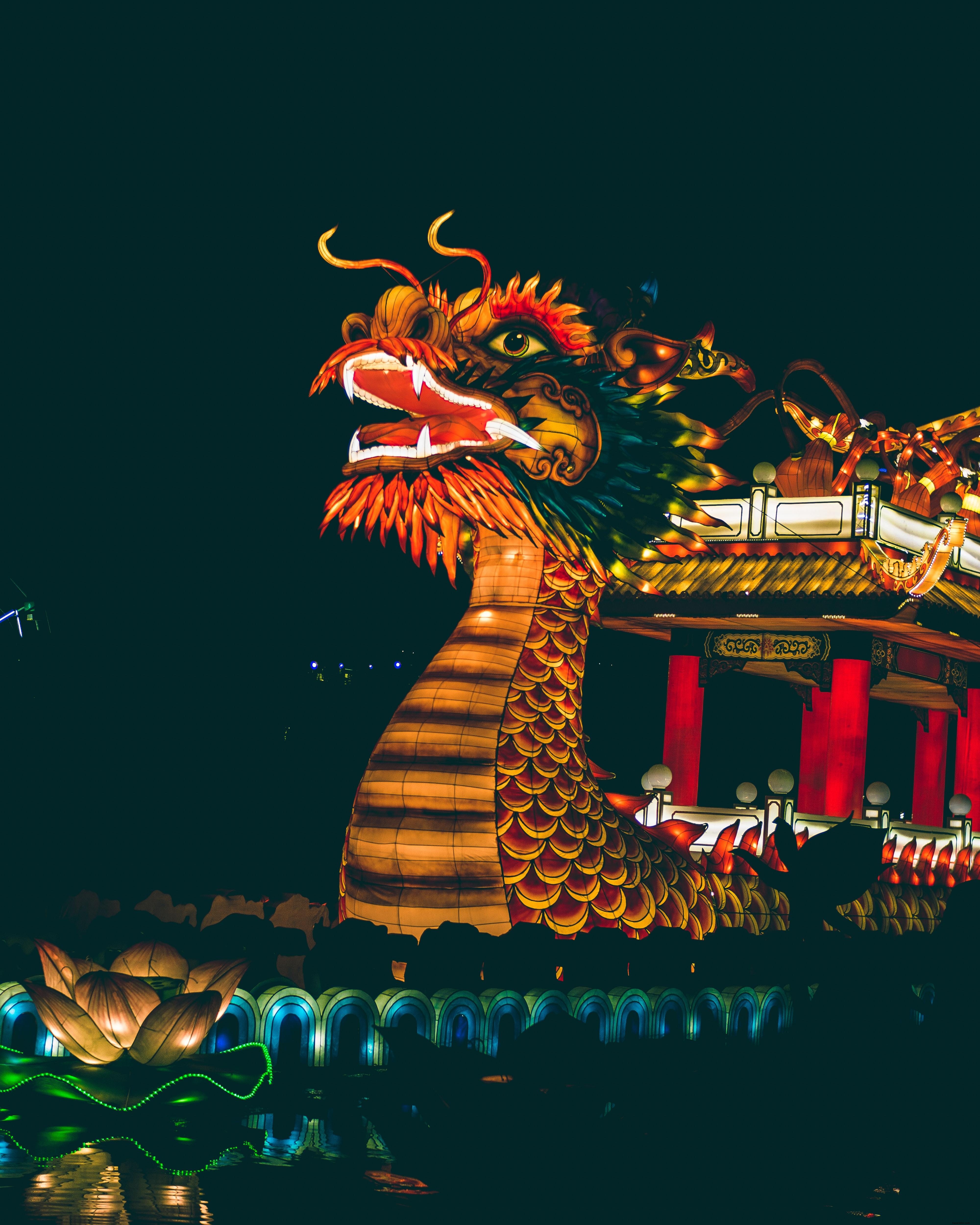 Stunning Night Photo of Dragon-Shaped Boat Illuminated