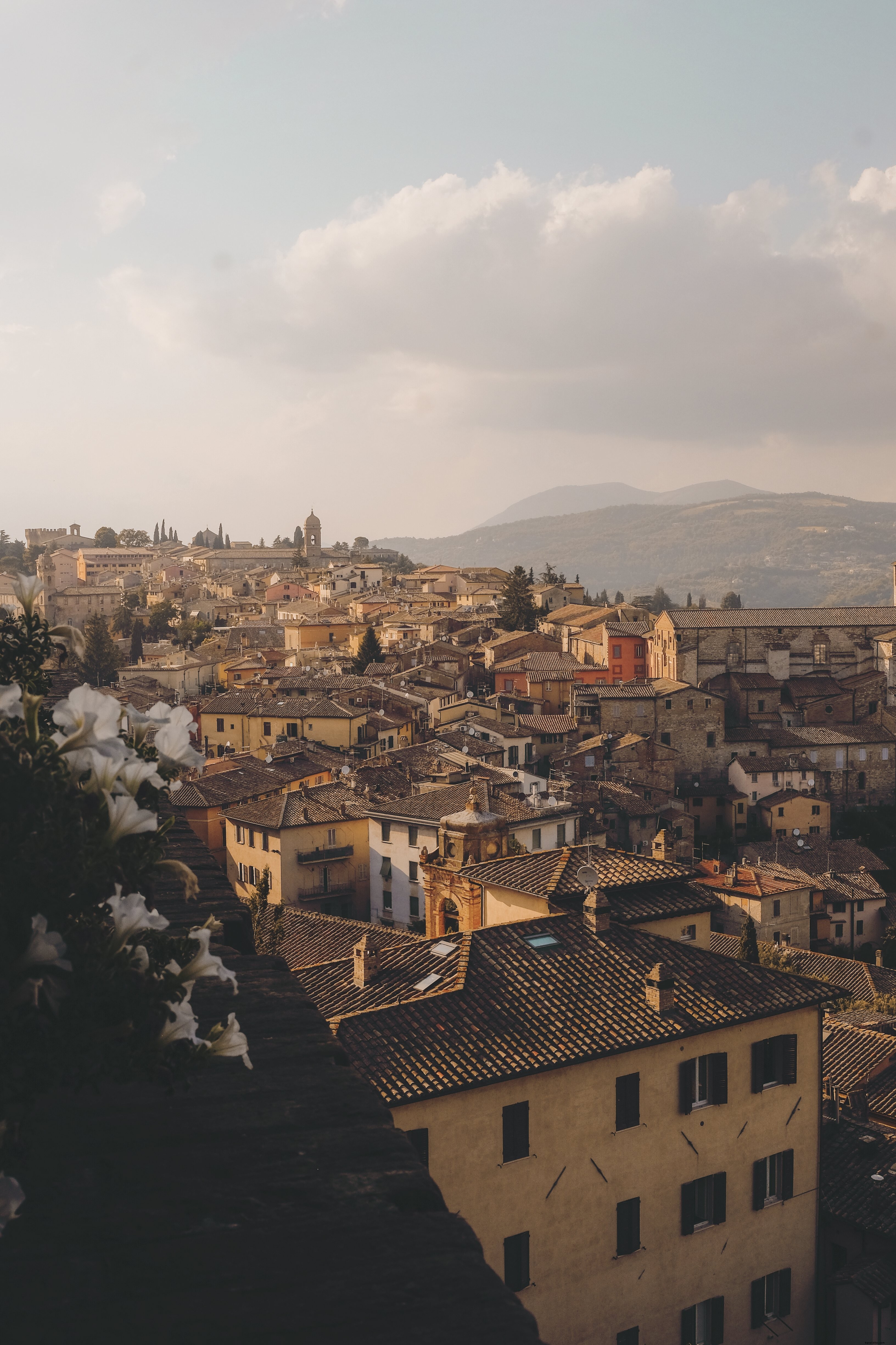 Stunning Aerial View of Ceramic Tile Roofs in a Picturesque Town