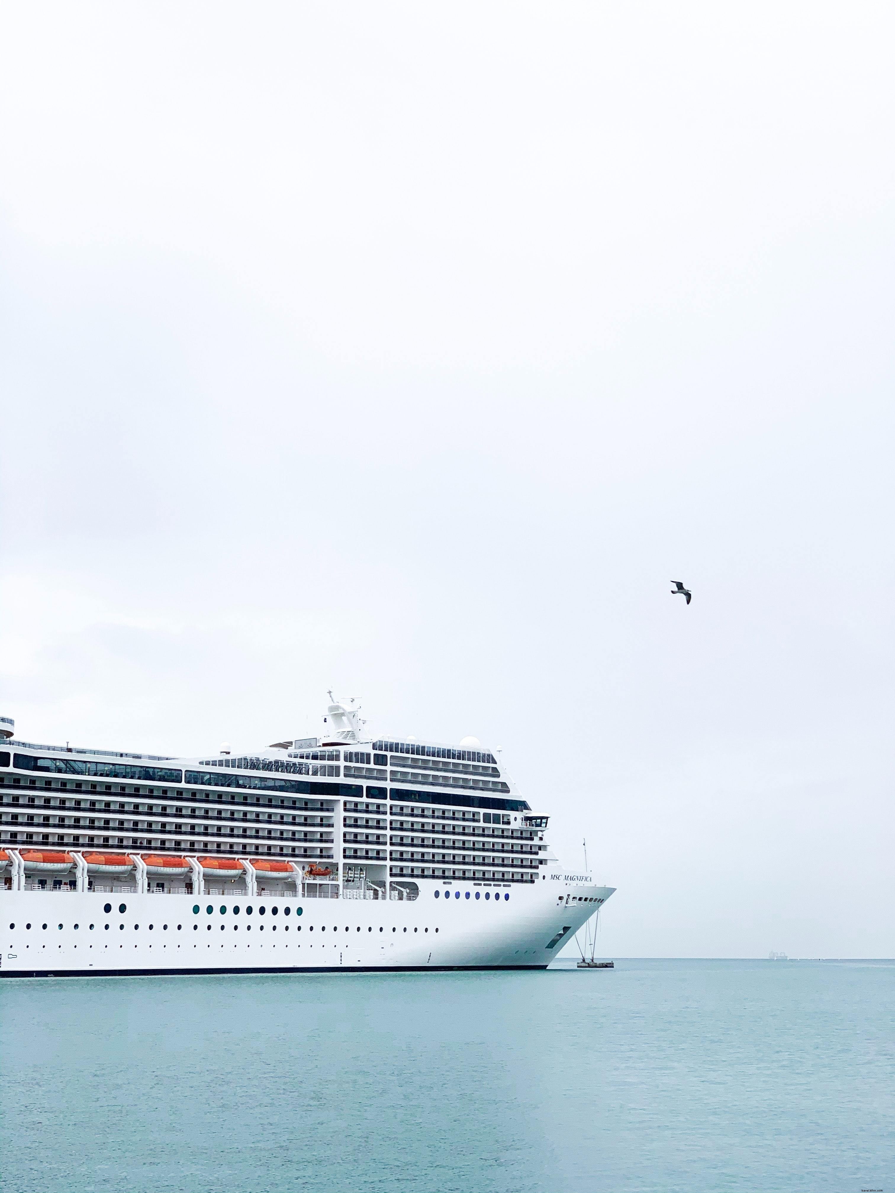 Majestic Cruise Liner Sailing into the Open Sea – Stunning Photo