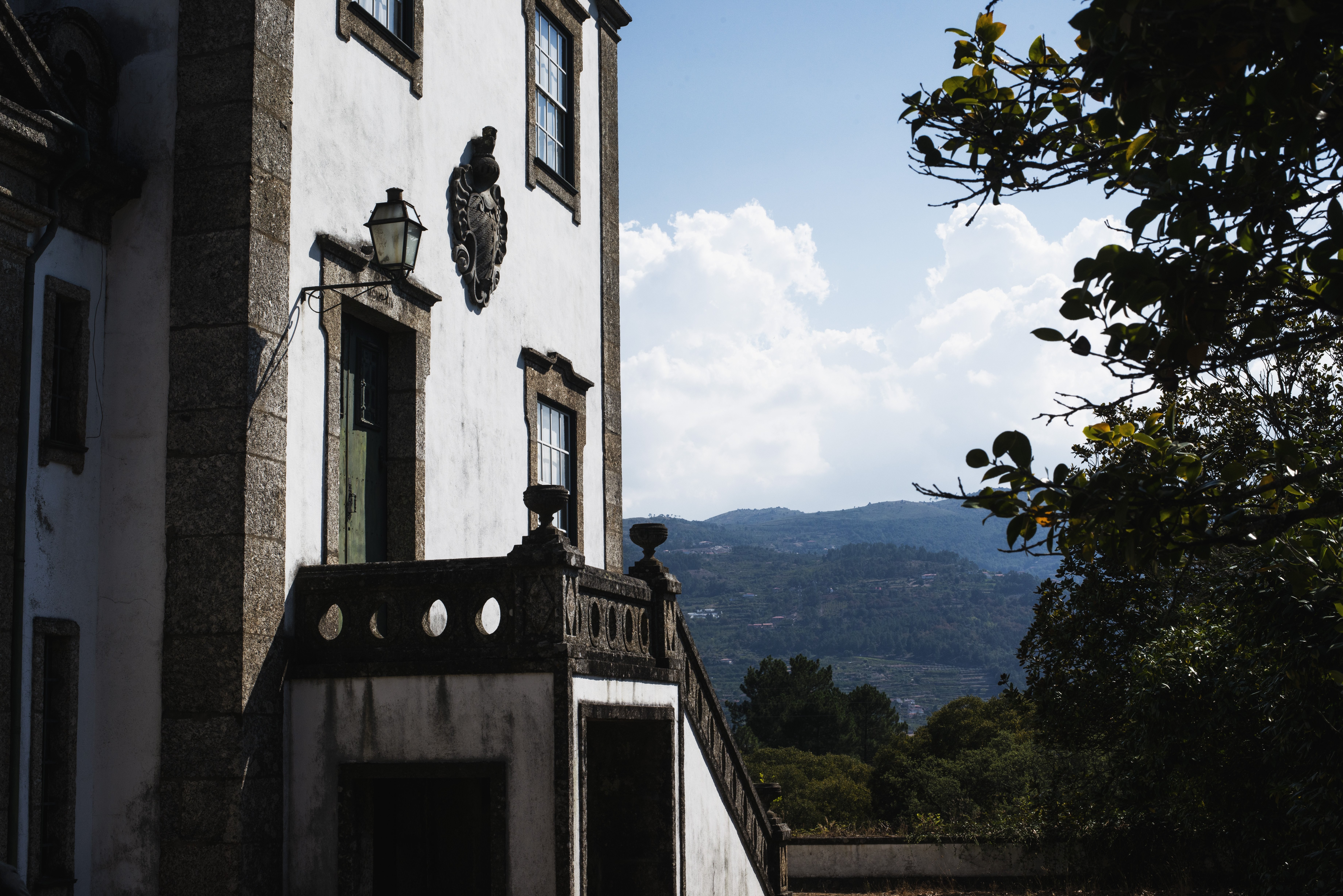 Captivating Photo: Historic Building Shaded by Ancient Neighboring Trees