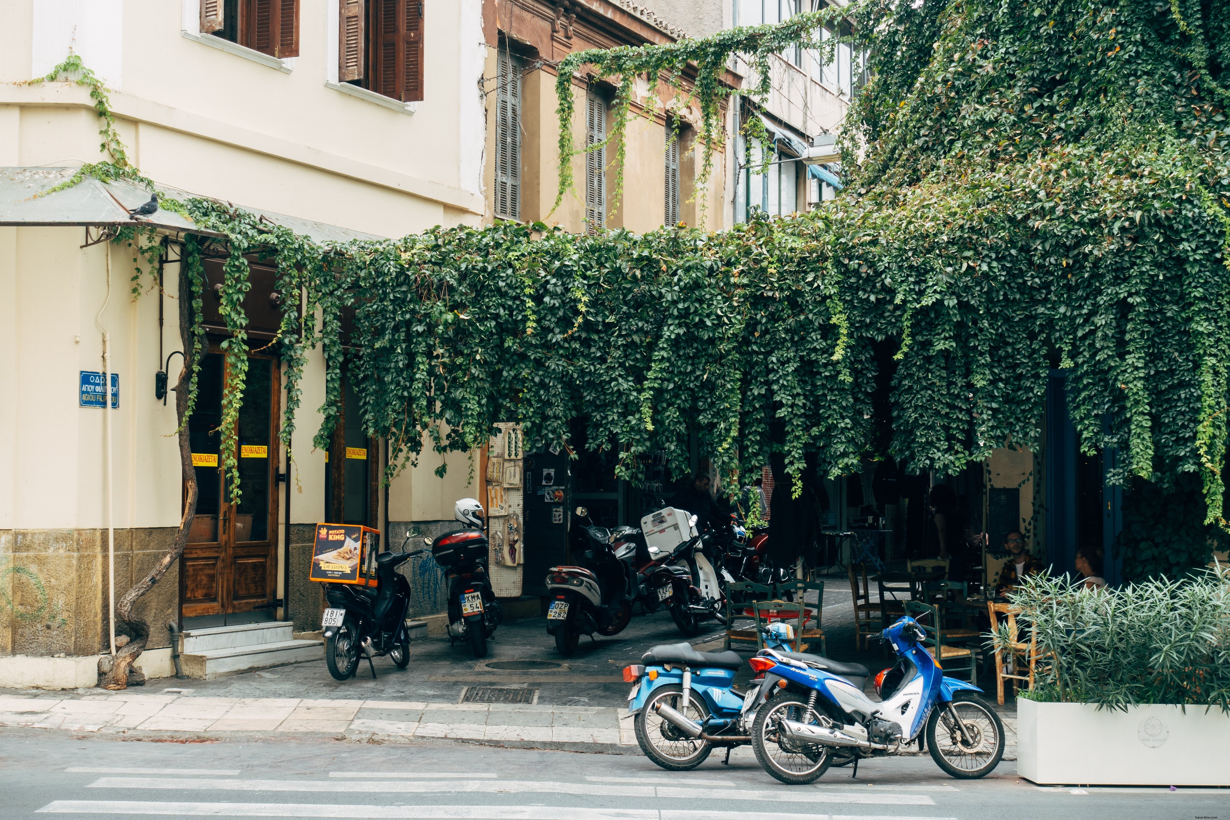 Stunning Photo: Motorbikes Parked Beneath Lush Green Vines