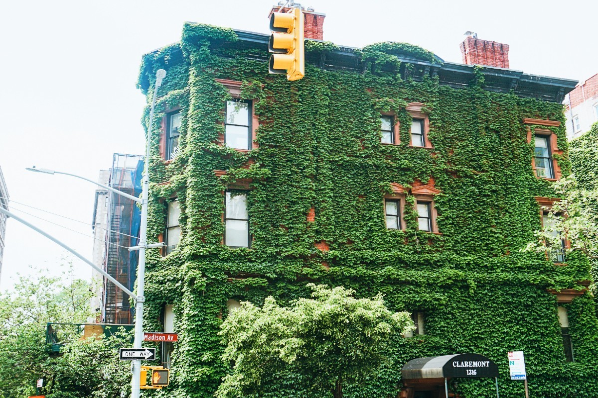 Explore New York s Upper East Side: A Perfect Weekend Staycation