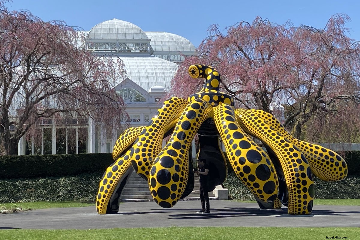 Yayoi Kusama s Cosmic Nature: Polka Dots and Pumpkins Enchant NYBG