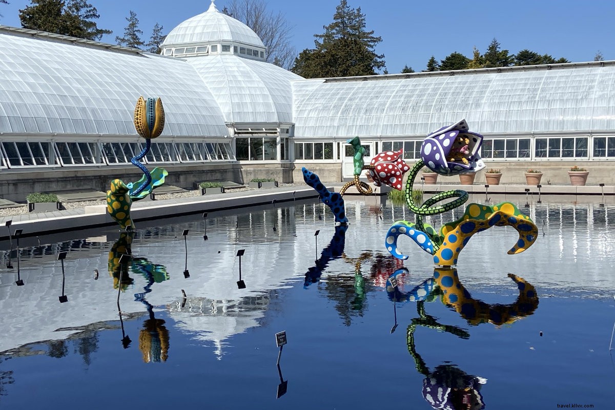 Yayoi Kusama s Cosmic Nature: Polka Dots and Pumpkins Enchant NYBG